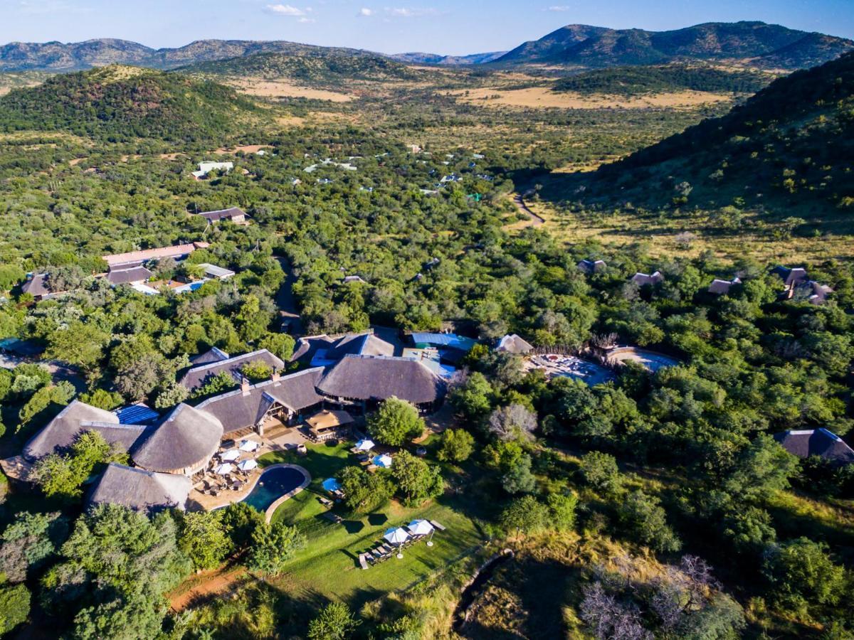 Ivory Tree Game * Pilanesberg